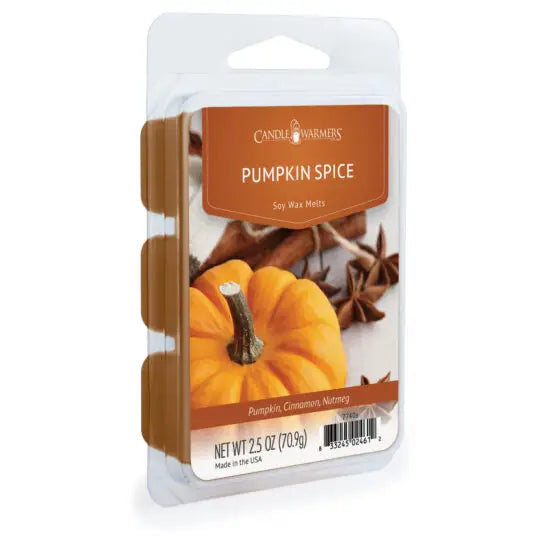 Pumpkin Spice Soy Wax Melts | Pumpkin, Cinnamon & Nutmeg | 2.5 oz
