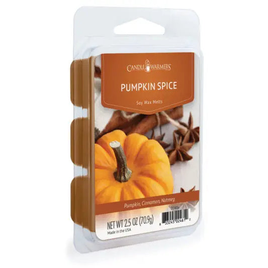 Pumpkin Spice Soy Wax Melts | Pumpkin, Cinnamon & Nutmeg | 2.5 oz